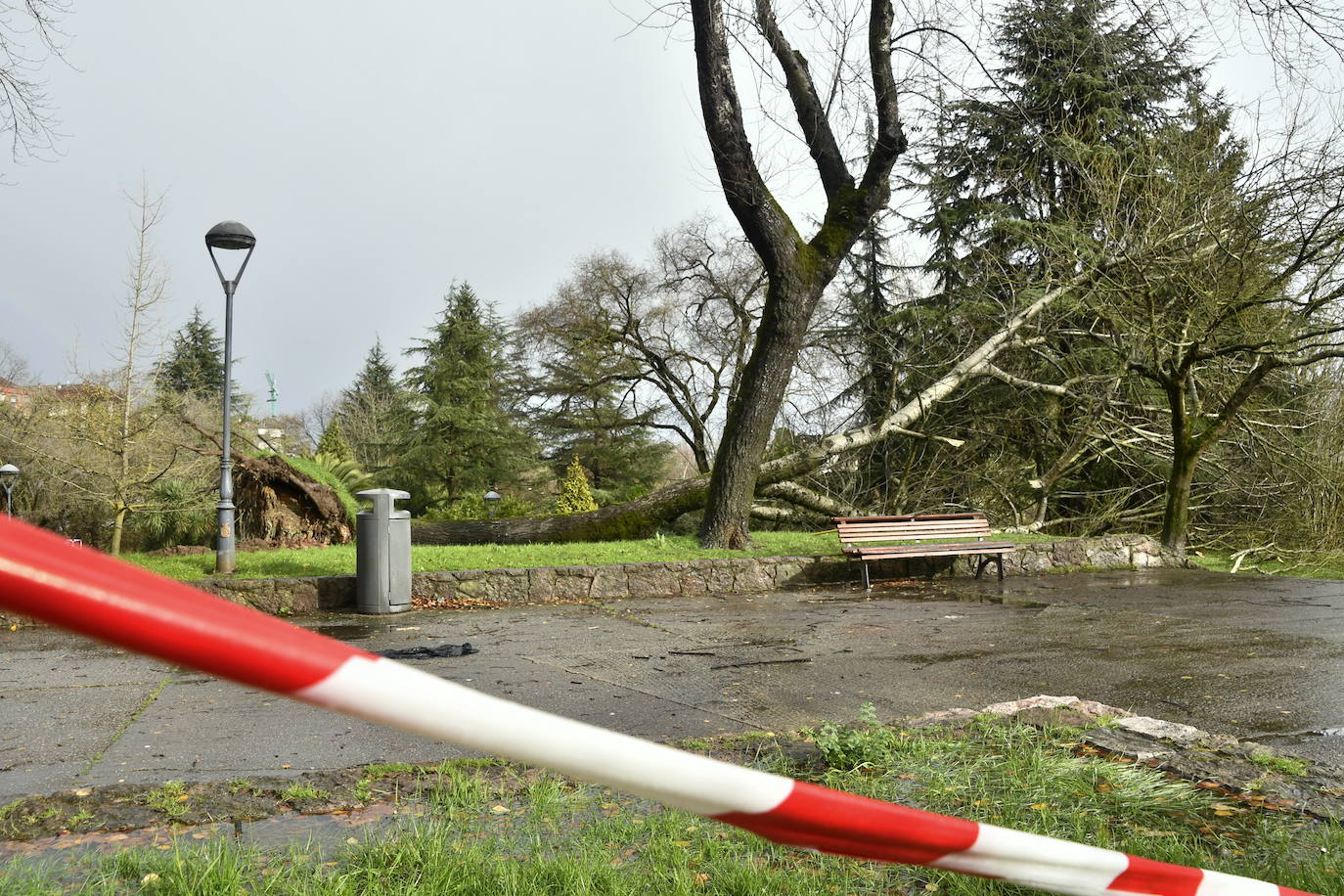 Fotos: Árboles caídos y nuevas inundaciones por fuerte temporal en Avilés