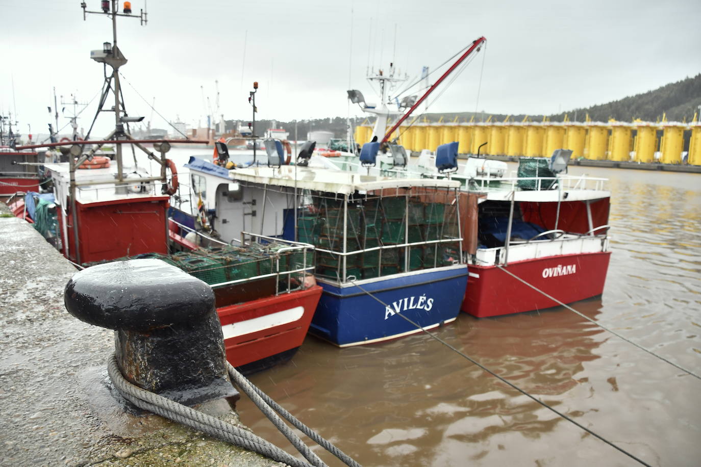 Fotos: Árboles caídos y nuevas inundaciones por fuerte temporal en Avilés