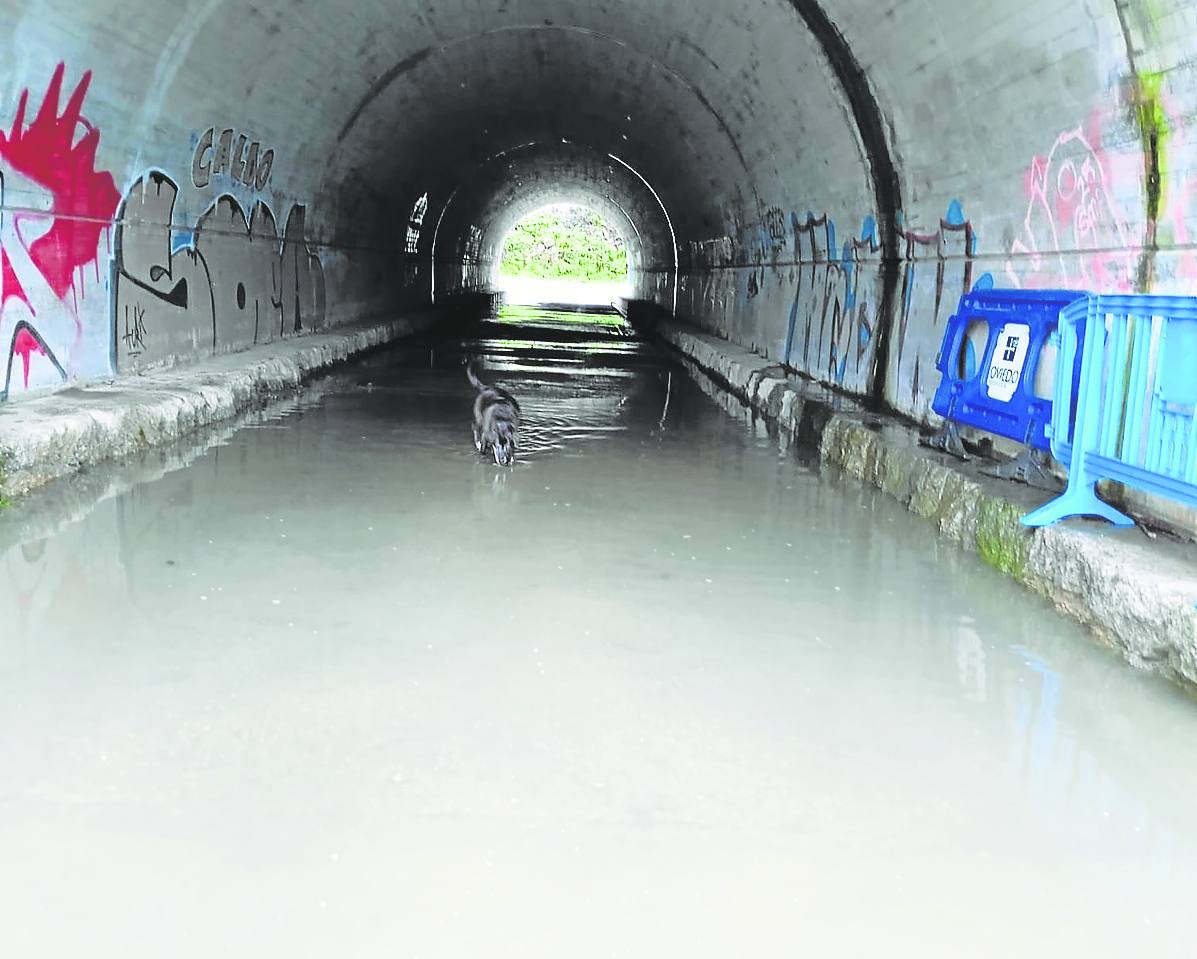 El túnel bajo la A-66, en Olloniego, inundado. e. c.