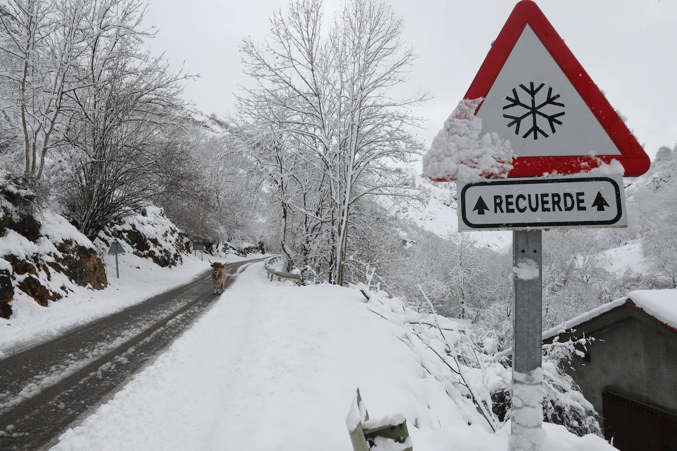 Fotos: Así luce el pueblo de Sotres por las nevadas