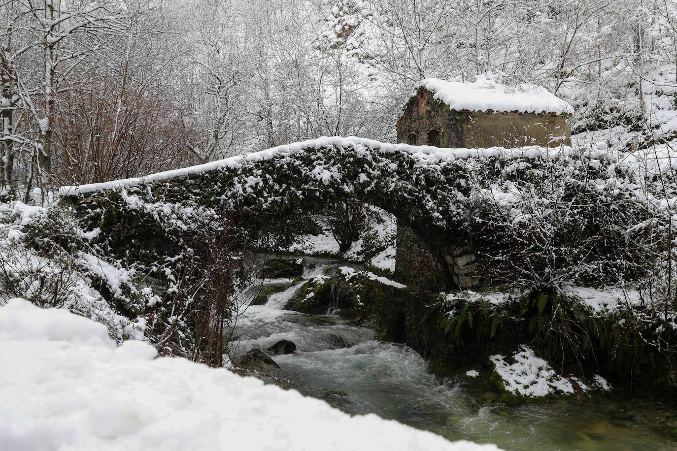 Fotos: Así luce el pueblo de Sotres por las nevadas