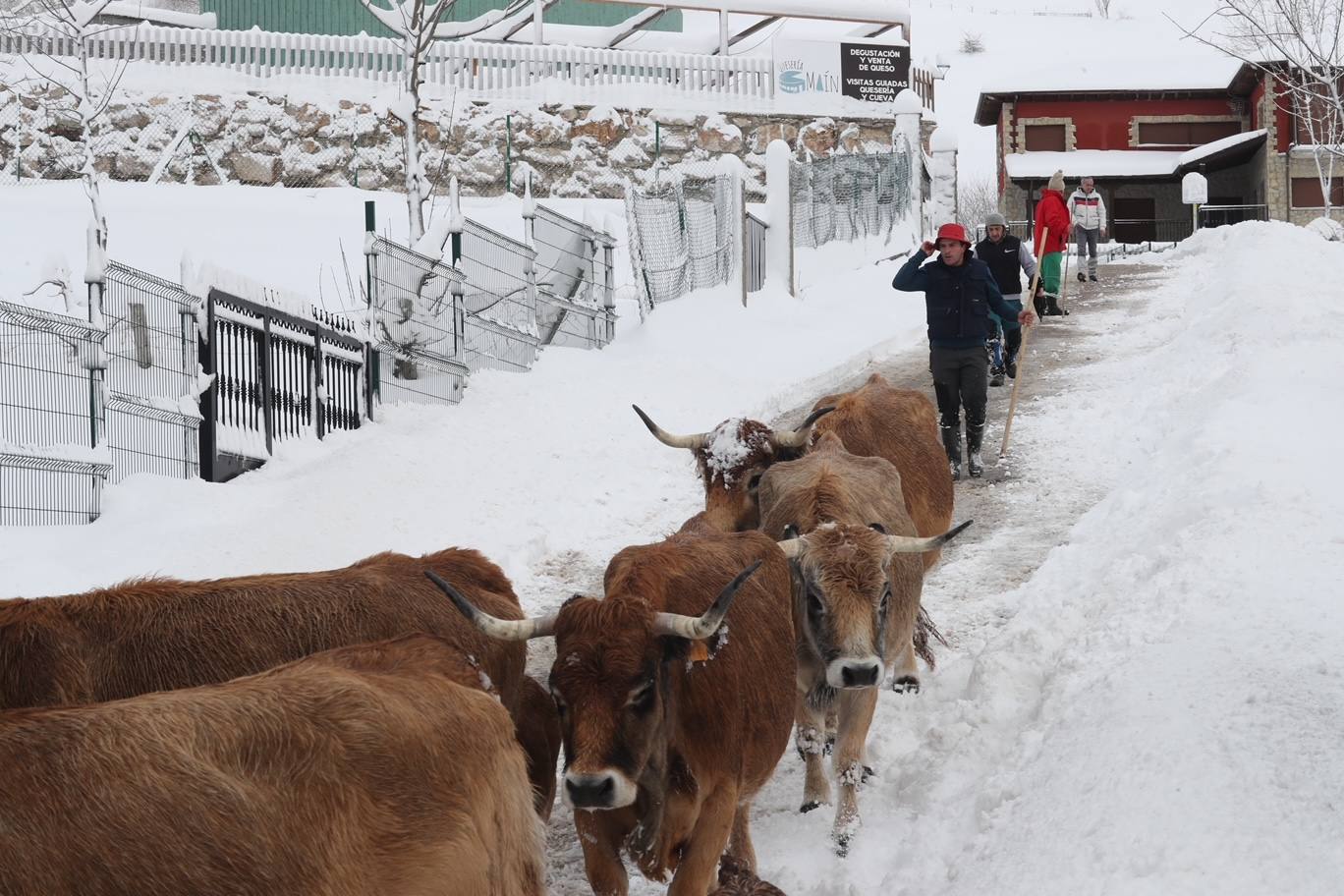 Fotos: Así luce el pueblo de Sotres por las nevadas