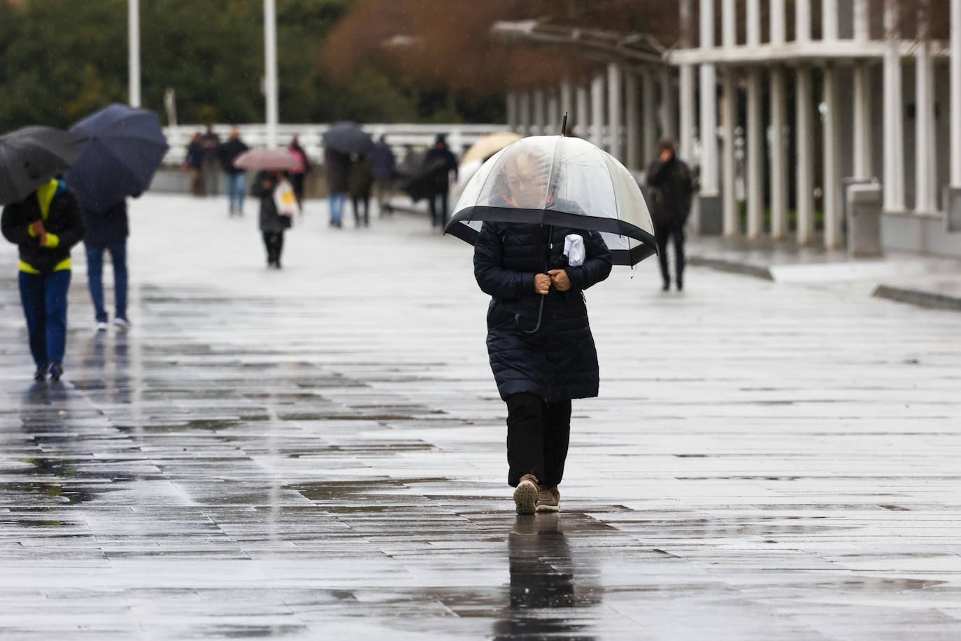 Fotos: El temporal en Gijón: más árboles caídos, fuerte oleaje y lluvia