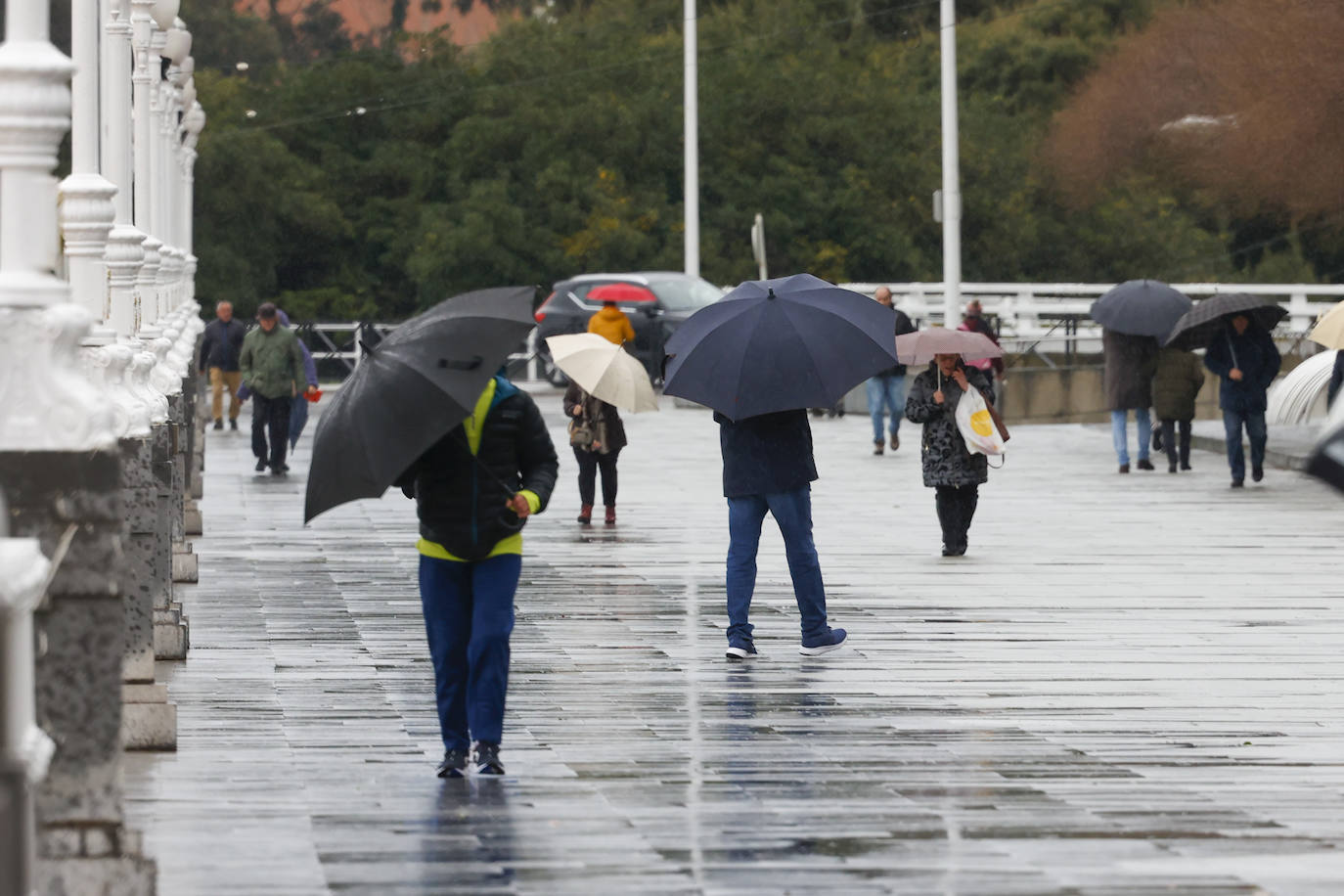 Fotos: El temporal en Gijón: más árboles caídos, fuerte oleaje y lluvia