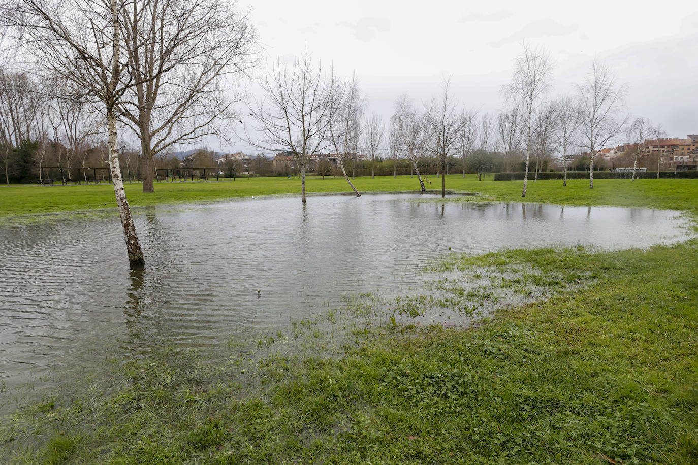 Fotos: El temporal en Gijón: más árboles caídos, fuerte oleaje y lluvia