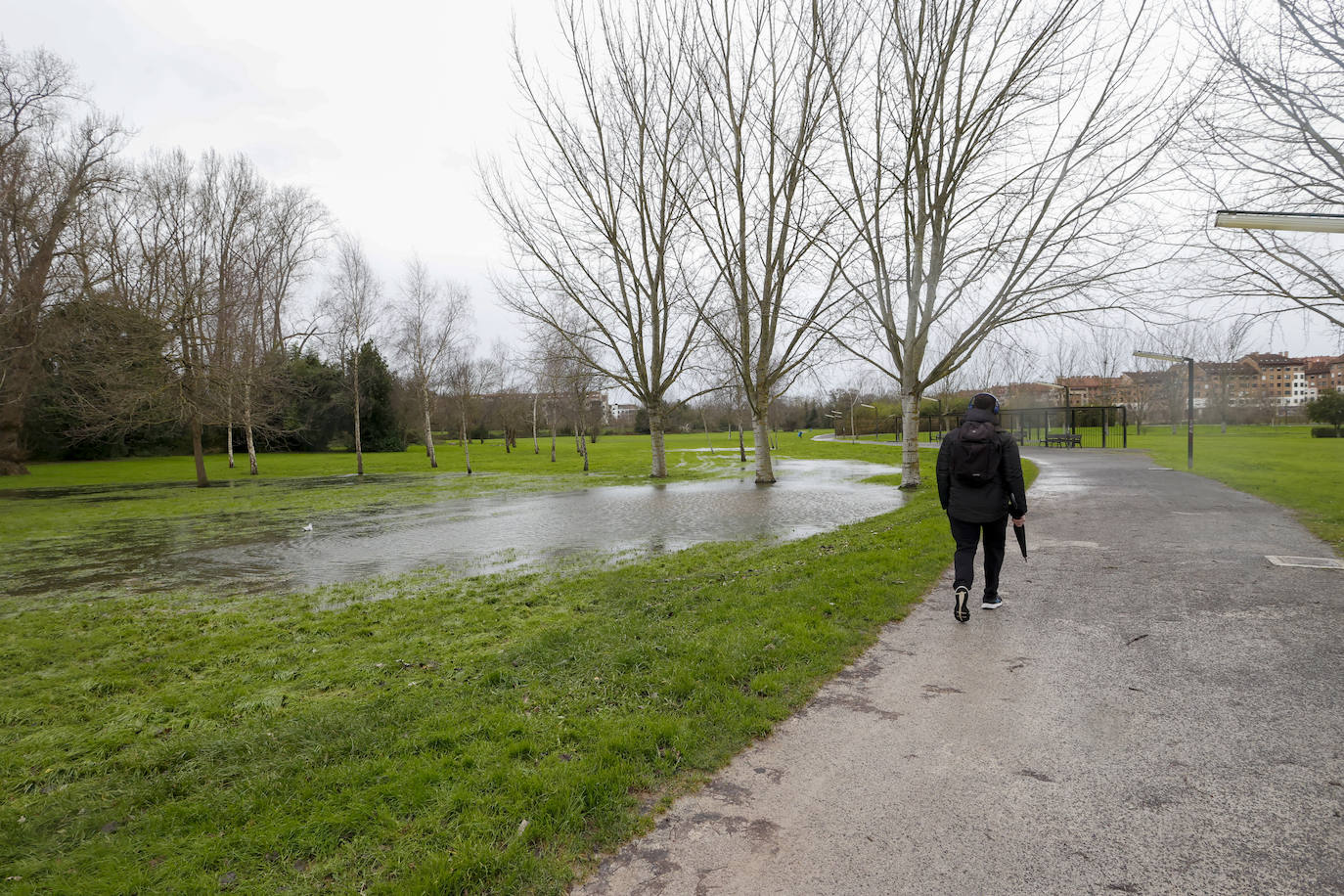 Fotos: El temporal en Gijón: más árboles caídos, fuerte oleaje y lluvia