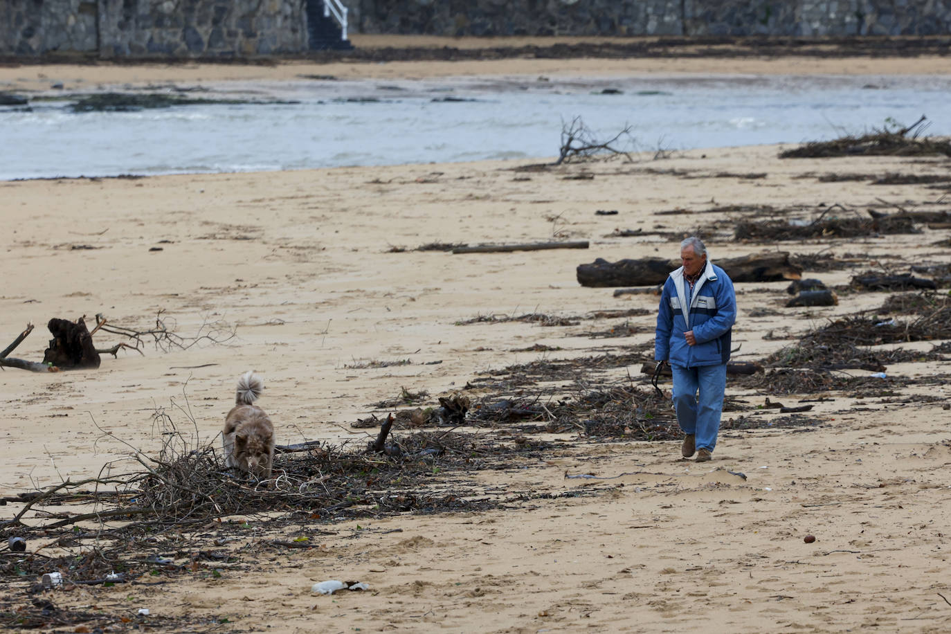 Fotos: El temporal en Gijón: más árboles caídos, fuerte oleaje y lluvia