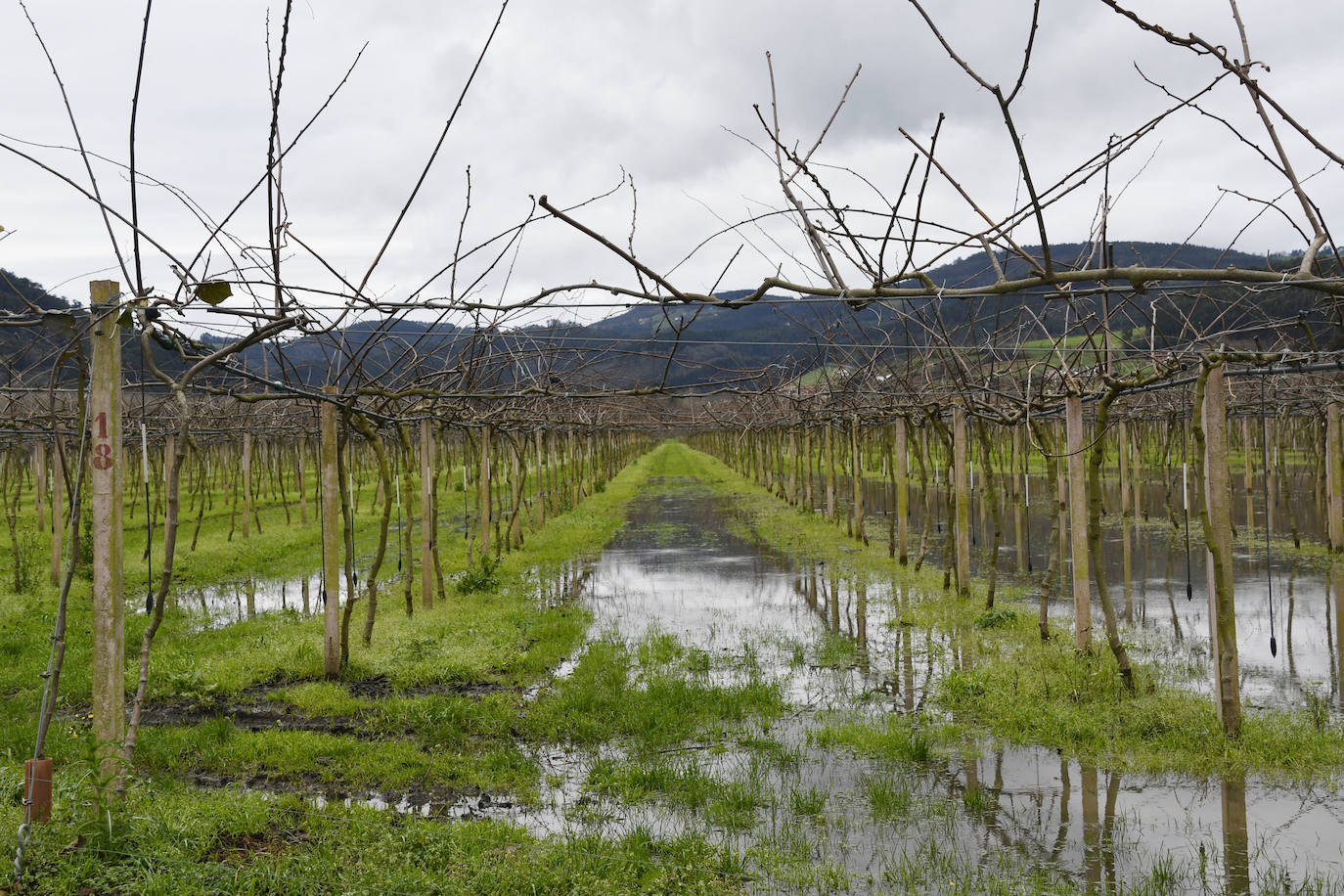 Fotos: Pravia sufre inundaciones por la crecida de los ríos