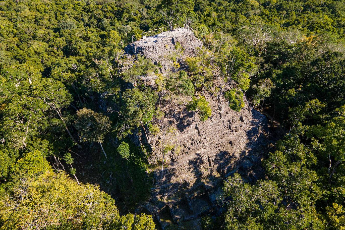 Fotos: Un tesoro maya oculto en la selva