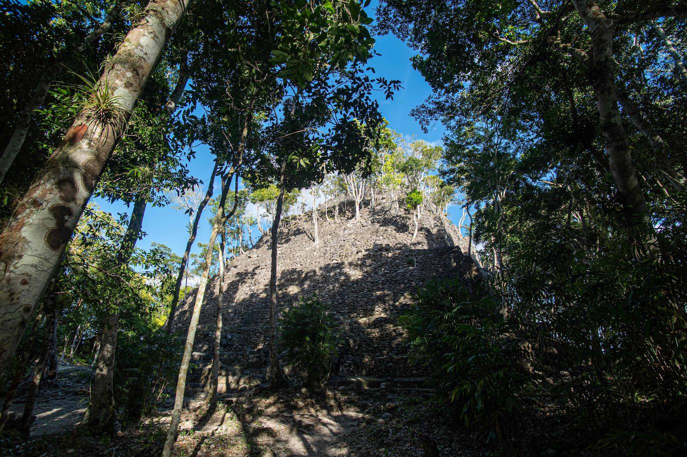 Fotos: Un tesoro maya oculto en la selva