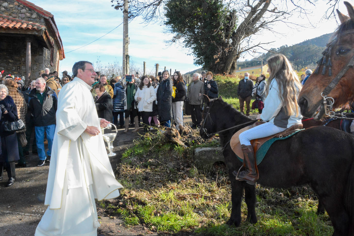 Fotos: San Antón protege a las mascotas de Taborneda