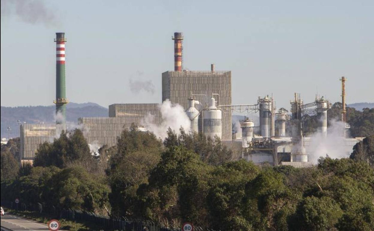 Fábrica de Ence en Pontevedra.