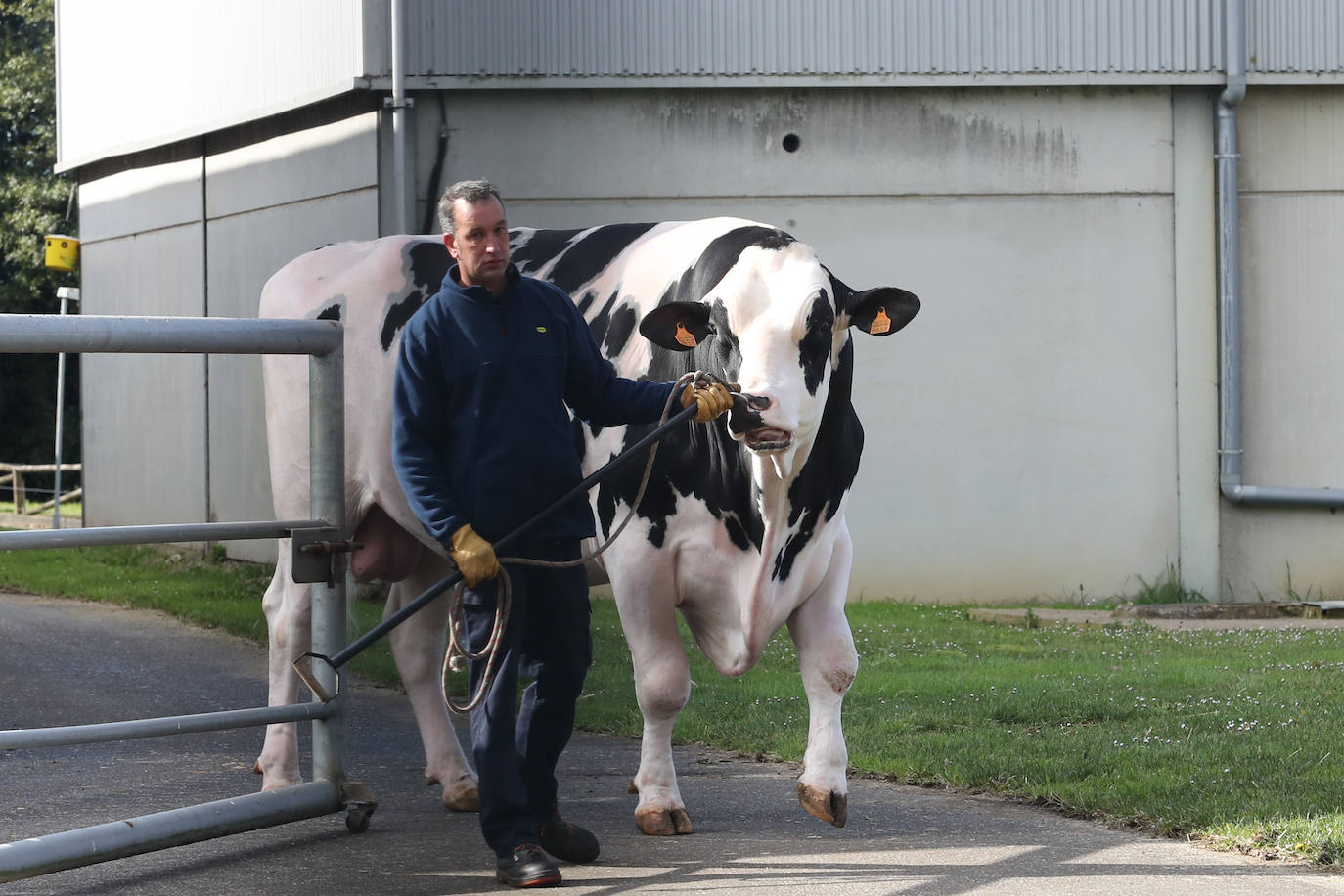 Fotos: Luis Planas visita las instalaciones de Ascol