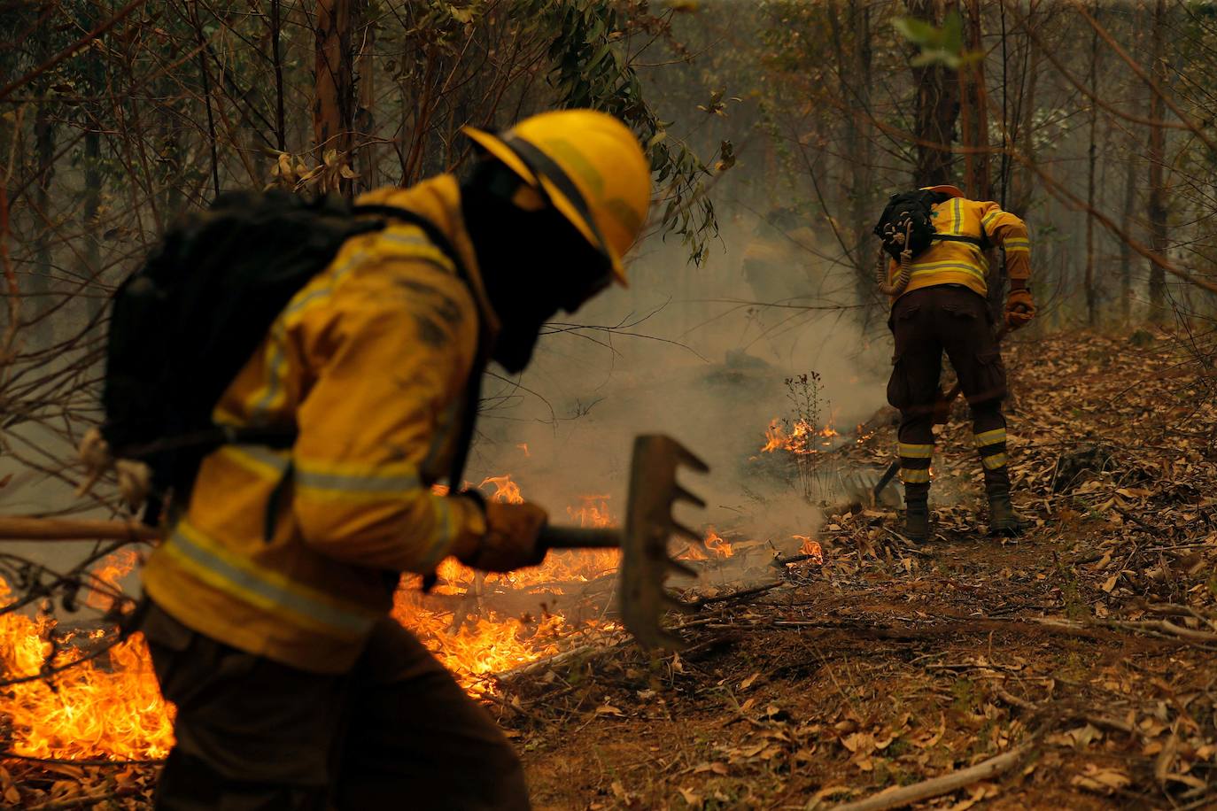 Fotos: El infierno de fuego de Chile