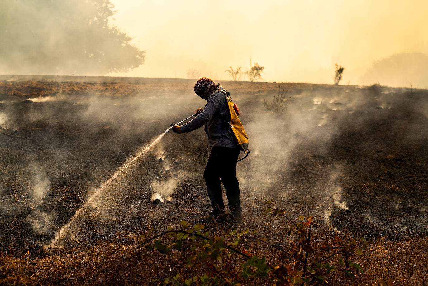 Fotos: El infierno de fuego de Chile