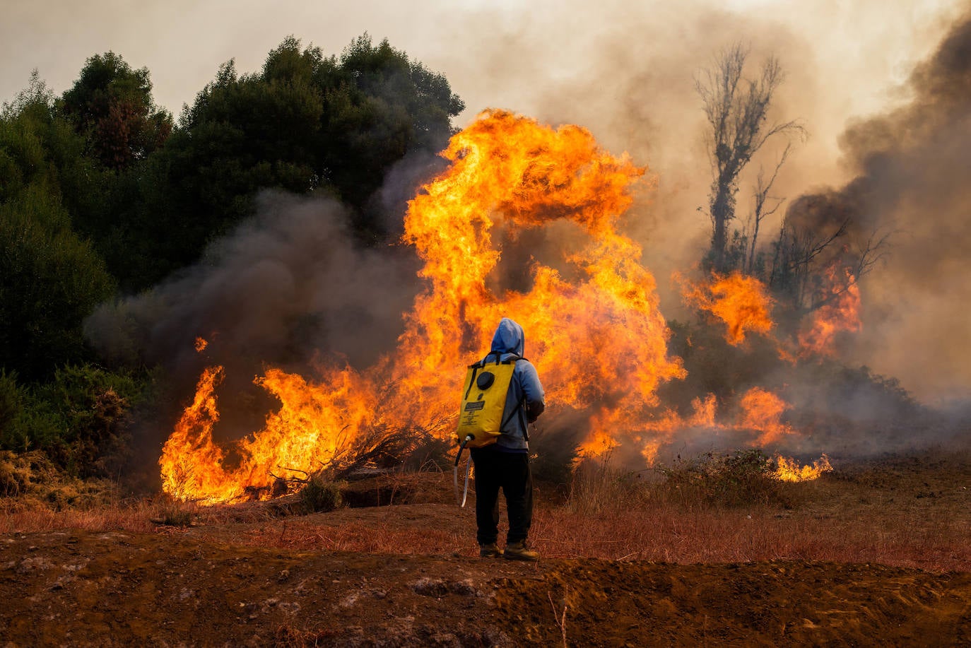 Fotos: El infierno de fuego de Chile