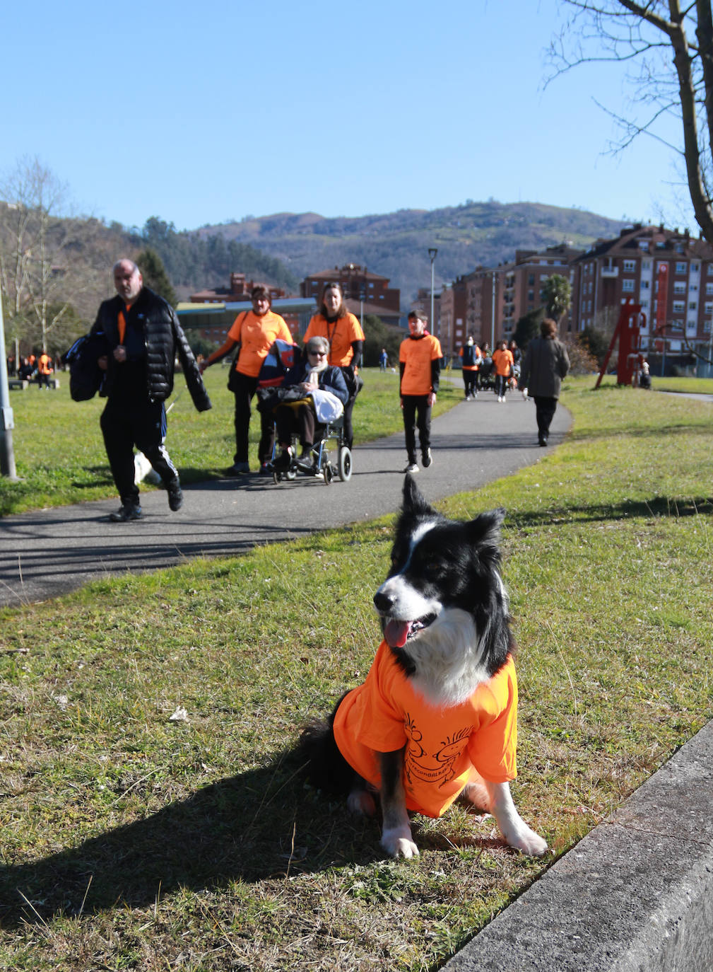 Fotos: Asturias, en lucha contra el cáncer infantil: las imágenes de la Carrera Galbán