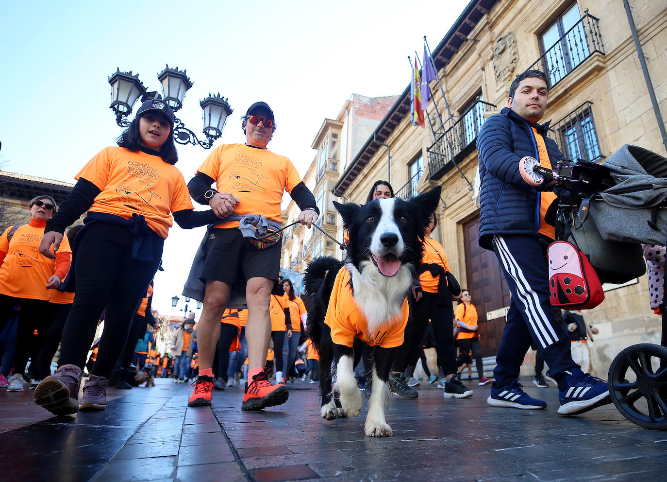 Fotos: Asturias, en lucha contra el cáncer infantil: las imágenes de la Carrera Galbán