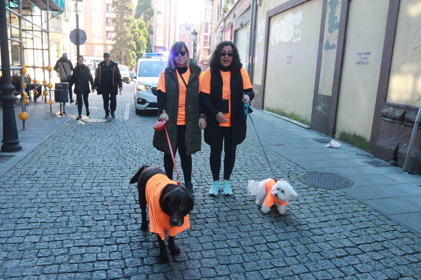 Fotos: Asturias, en lucha contra el cáncer infantil: las imágenes de la Carrera Galbán