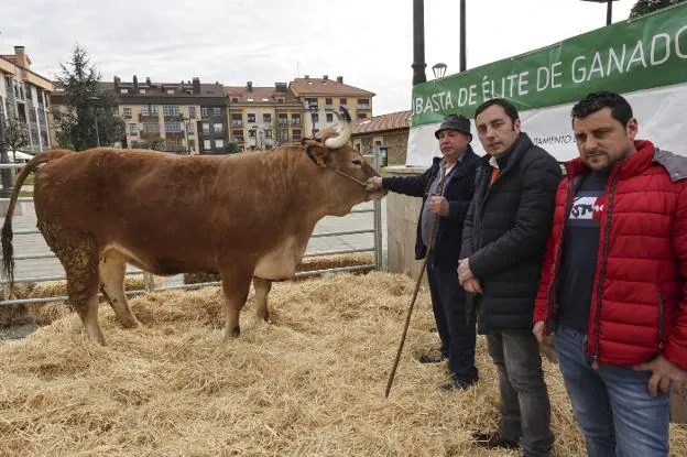 El hostelero y ganadero José Manuel Blanco sujeta a la vaca junto al alcalde de Llanera, Gerardo Sanz, y el ganadero Javier Caunedo. 