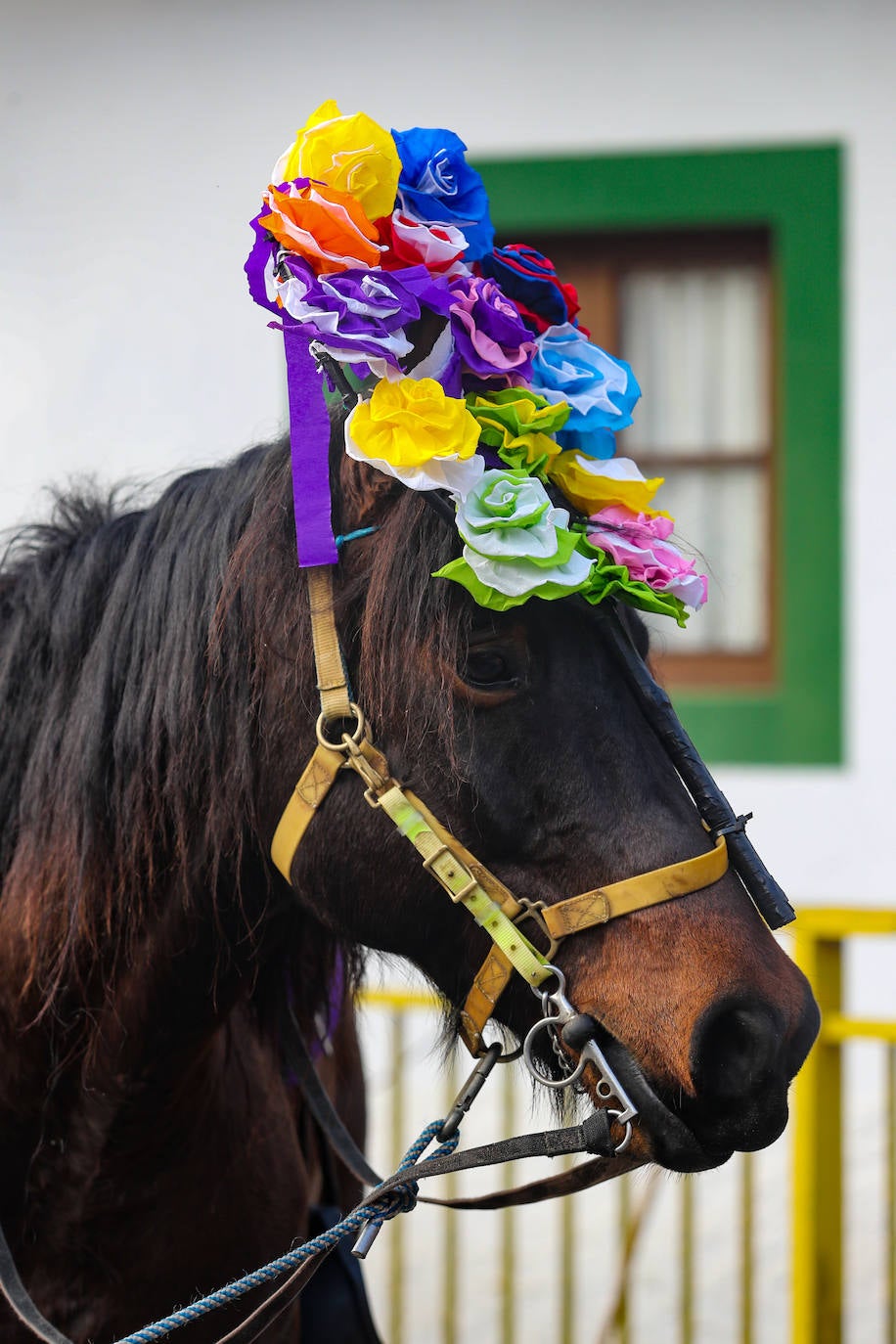Fotos: Nuria Cueto, primera aguinaldera de Cazo