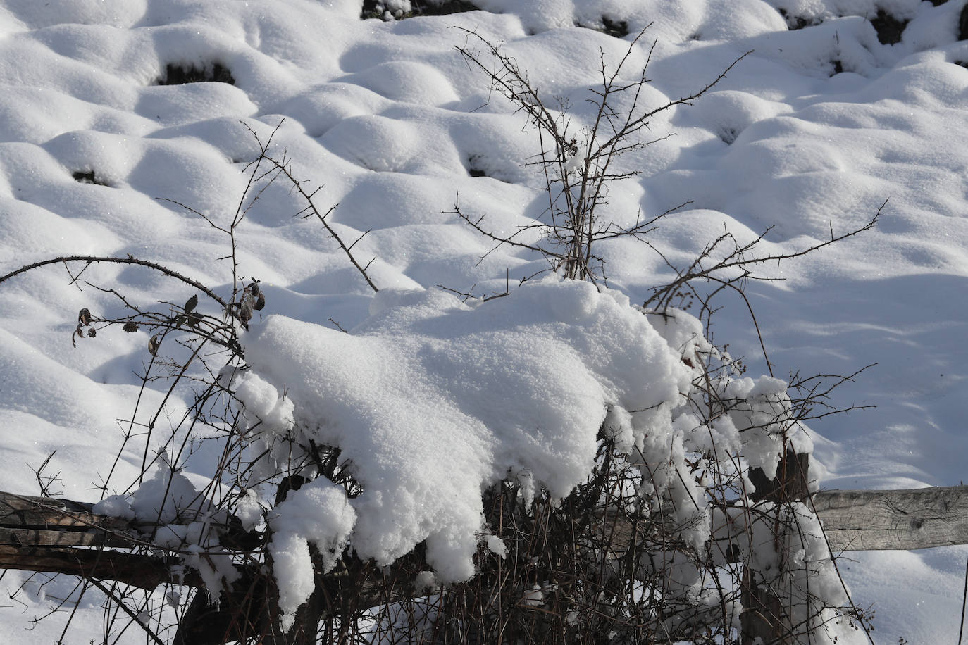 Fotos: Asturias, a temperaturas heladoras