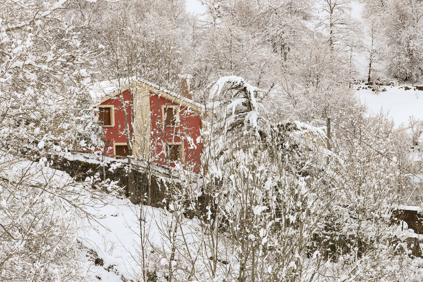 Fotos: Asturias, a temperaturas heladoras