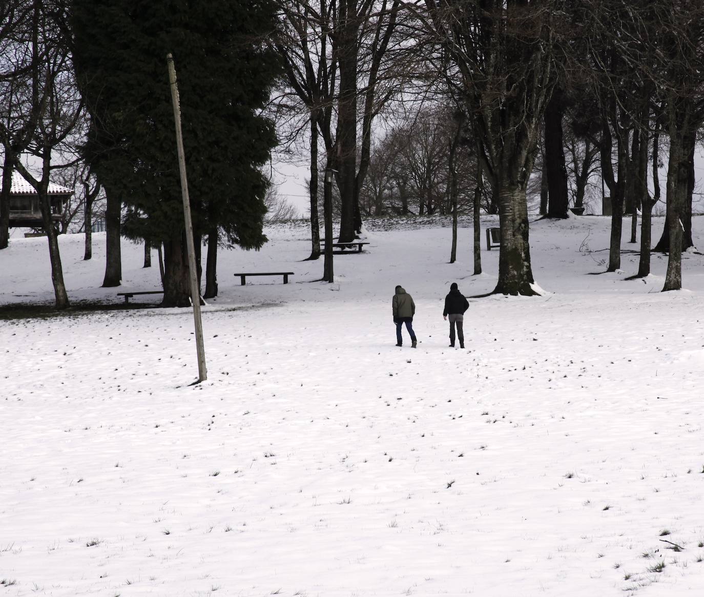 Fotos: Nieve y frío en Asturias