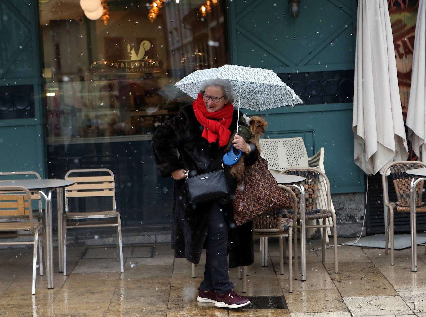 Fotos: Nieve y frío en Asturias