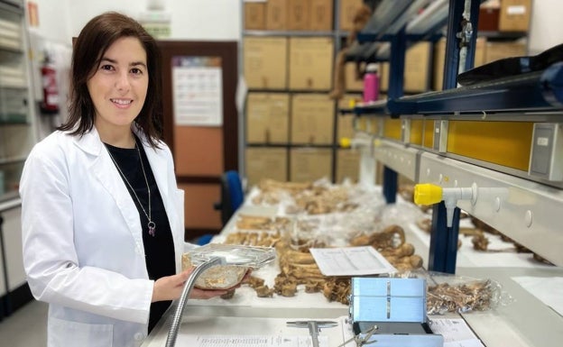 La también antropóloga física Carmen Alonso Llamazares estabilizó y analizó los restos en el laboratorio.