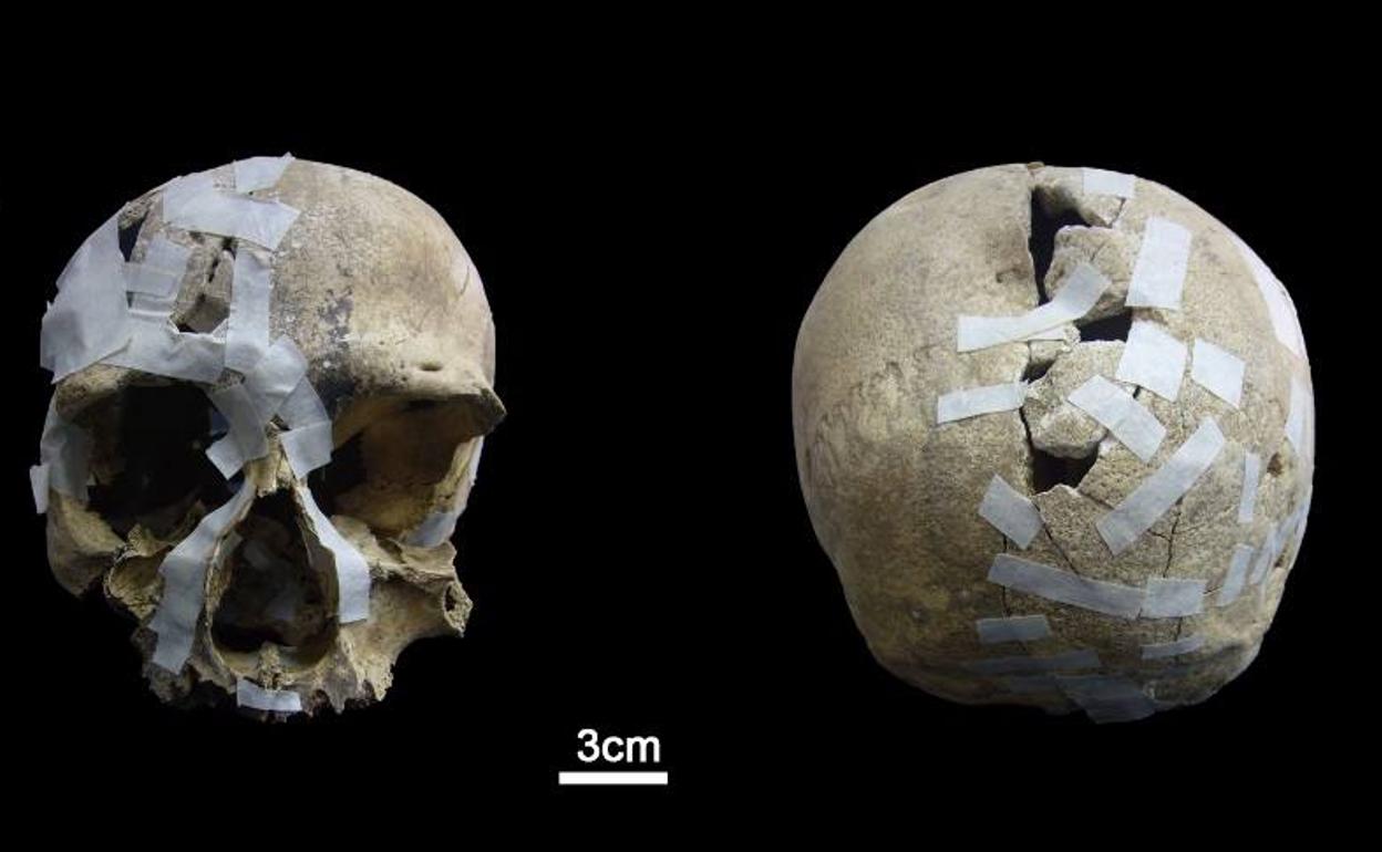 El cráneo de una mujer adulta de hace 5.900 años hallado en 2010 en la cueva del Jou Amieva. 