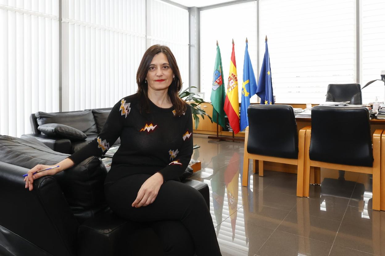 IU y PSOE mantendrán el actual acuerdo de gobierno pese a la pugna por ...