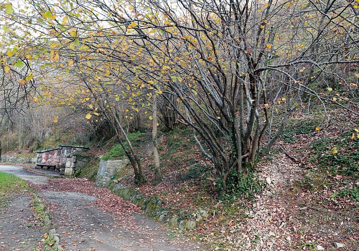Una senda en la población allerana de Cuevas, en Aller.