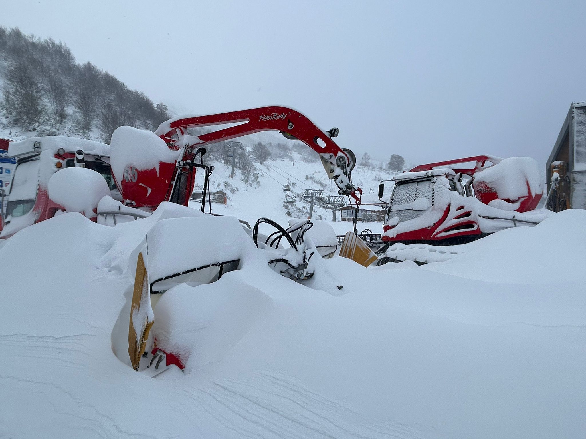 Alerta de frío en Asturias: un manto de nieve cubre el paisaje asturiano