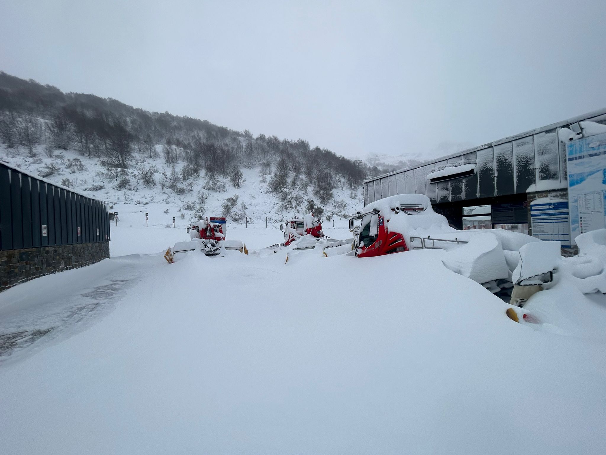 Alerta de frío en Asturias: un manto de nieve cubre el paisaje asturiano