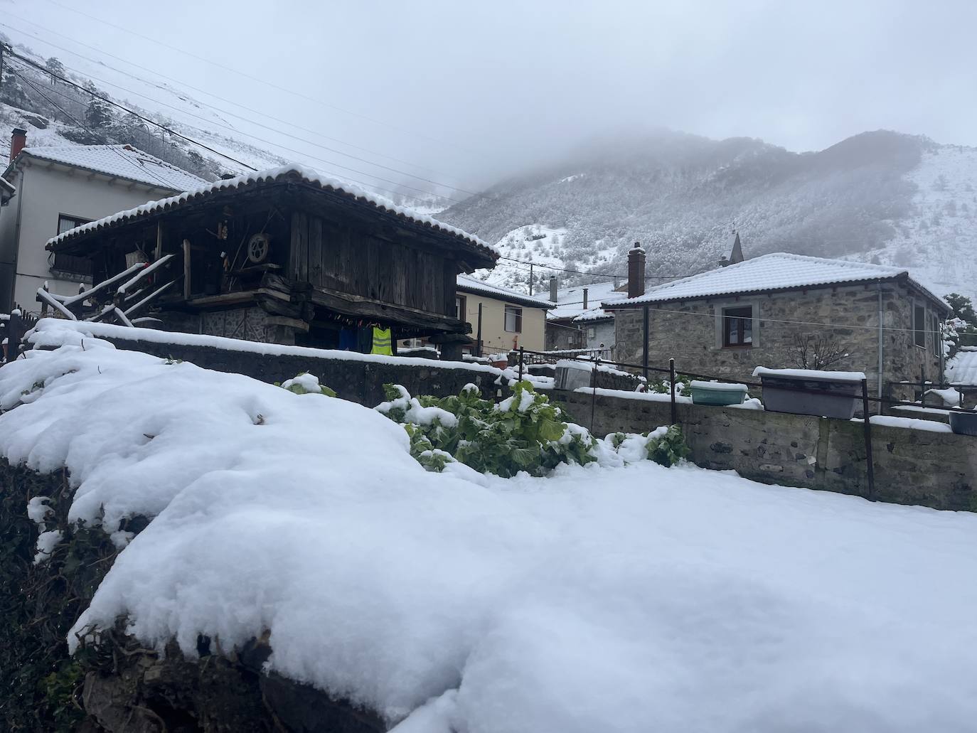 Alerta de frío en Asturias: un manto de nieve cubre el paisaje asturiano