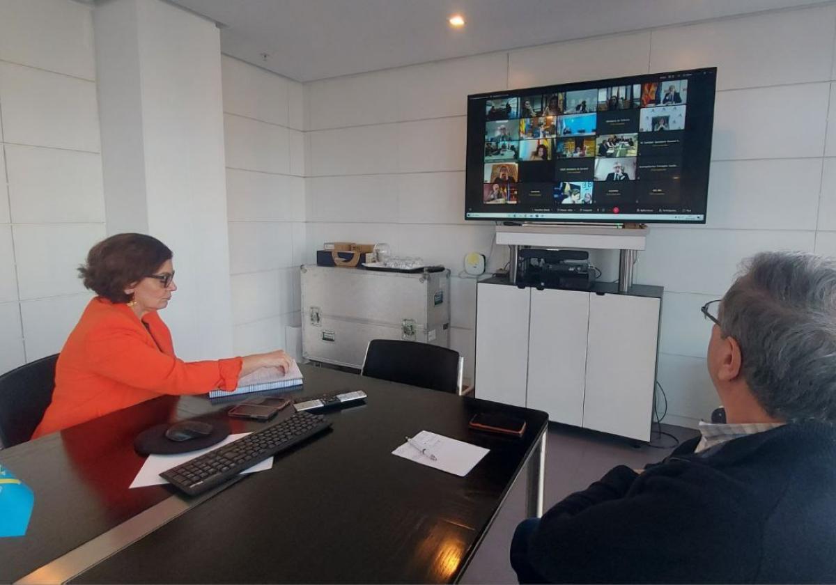 La consejera de Salud asistió ayer de forma telemática a la reunión del Consejo Interritorial, junto a su jefe de Vigilancia Epidemiológica.