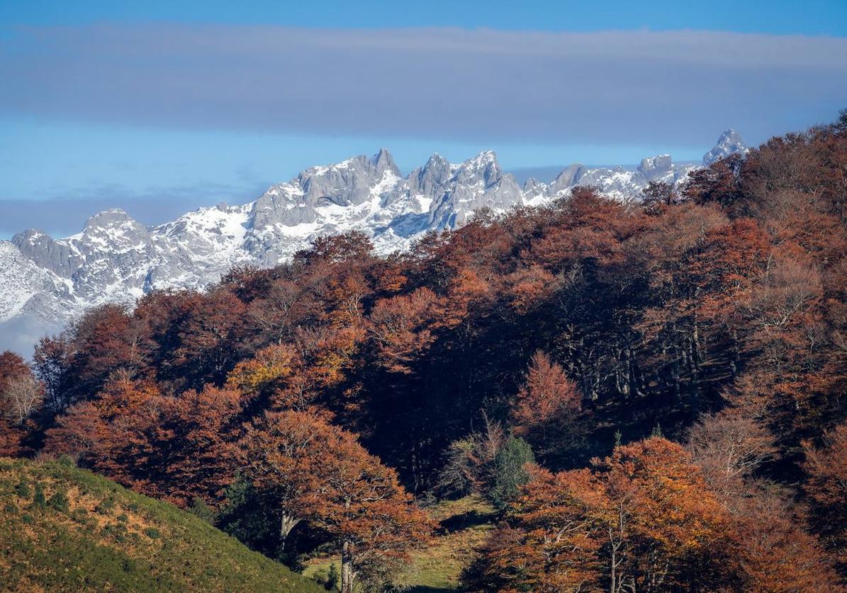 El Parque Natural de Redes, los Picos de Europa y la Reserva de la Biosfera de Ponga son los tres lugares por los que AsturiasXabaz traza sus rutas con esencia salvaje