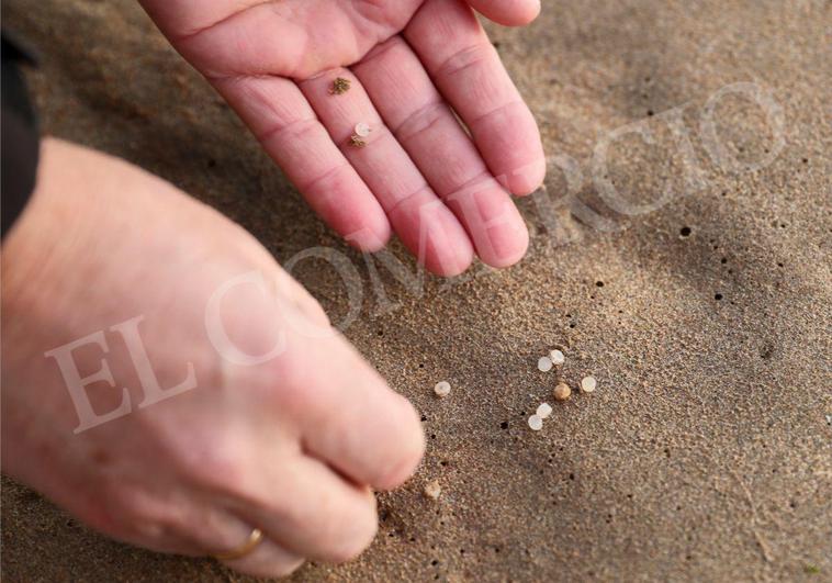 pélets de plástico, este martes, en la playa de Candás.