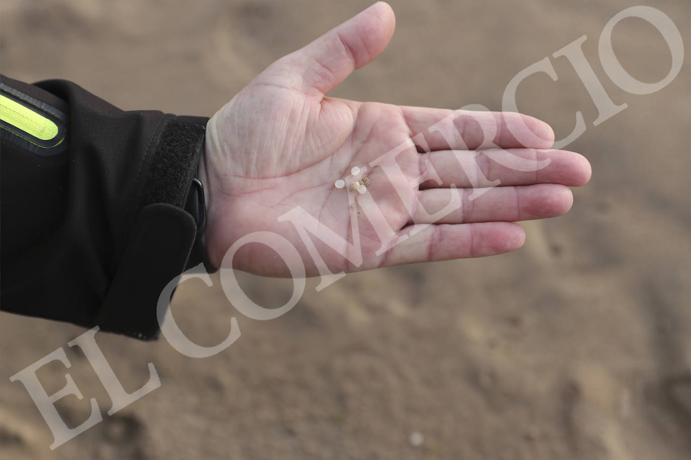 Operarios han recogido pellets de microplástico esta mañana en la playa de Candás. 