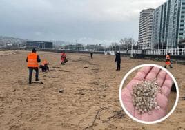 Operarios de Emulsa recogen pélets de la playa de San Lorenzo.