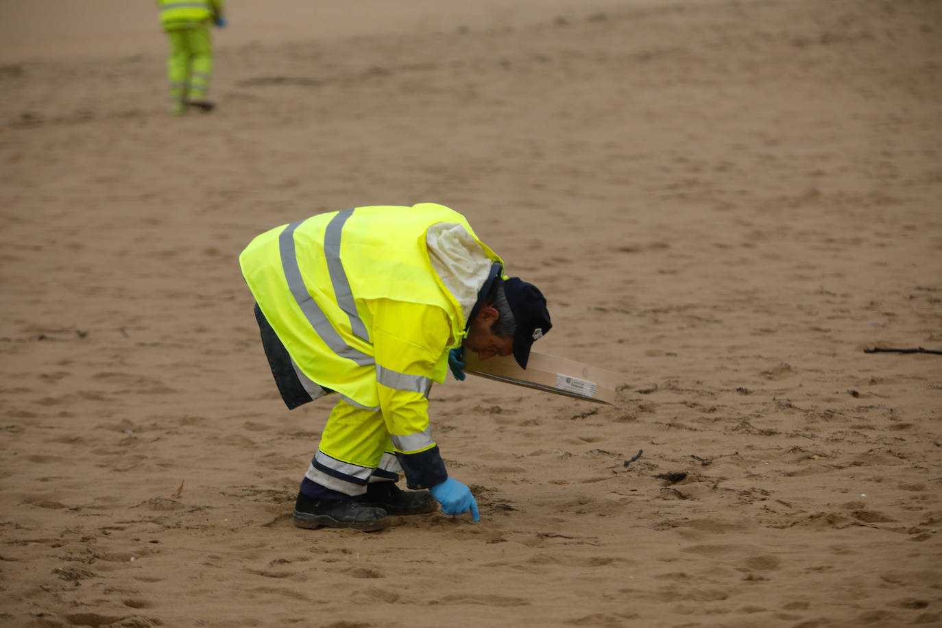 Asturias intensifica la limpieza de pélets de sus playas