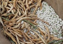 Ayudas al medio rural en Asturias: ocho millones para las empresas agroalimentarias y forestales