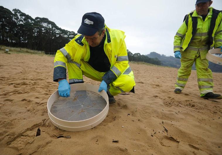 Recogida de pellets en la playa de Rodiles.