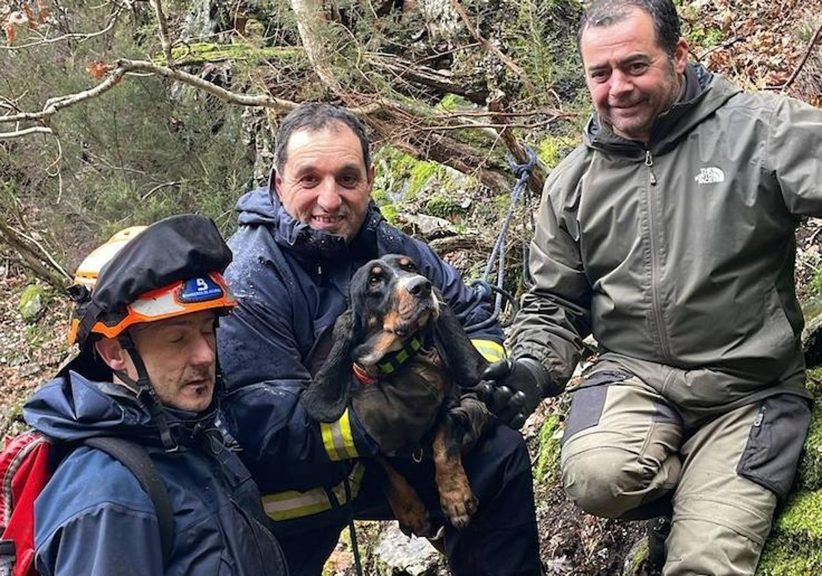 Los bomberos de Asturias que rescataron al can.