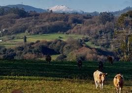 Vistas hacia el pico Hurro desde la Ruta de los Lanceros, en el concejo de Les Regueres