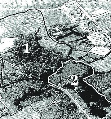 Terrenos del Botánico, en 1999.