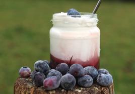 Yogur con puré de arándanos, elaborado en El Tayuelu.