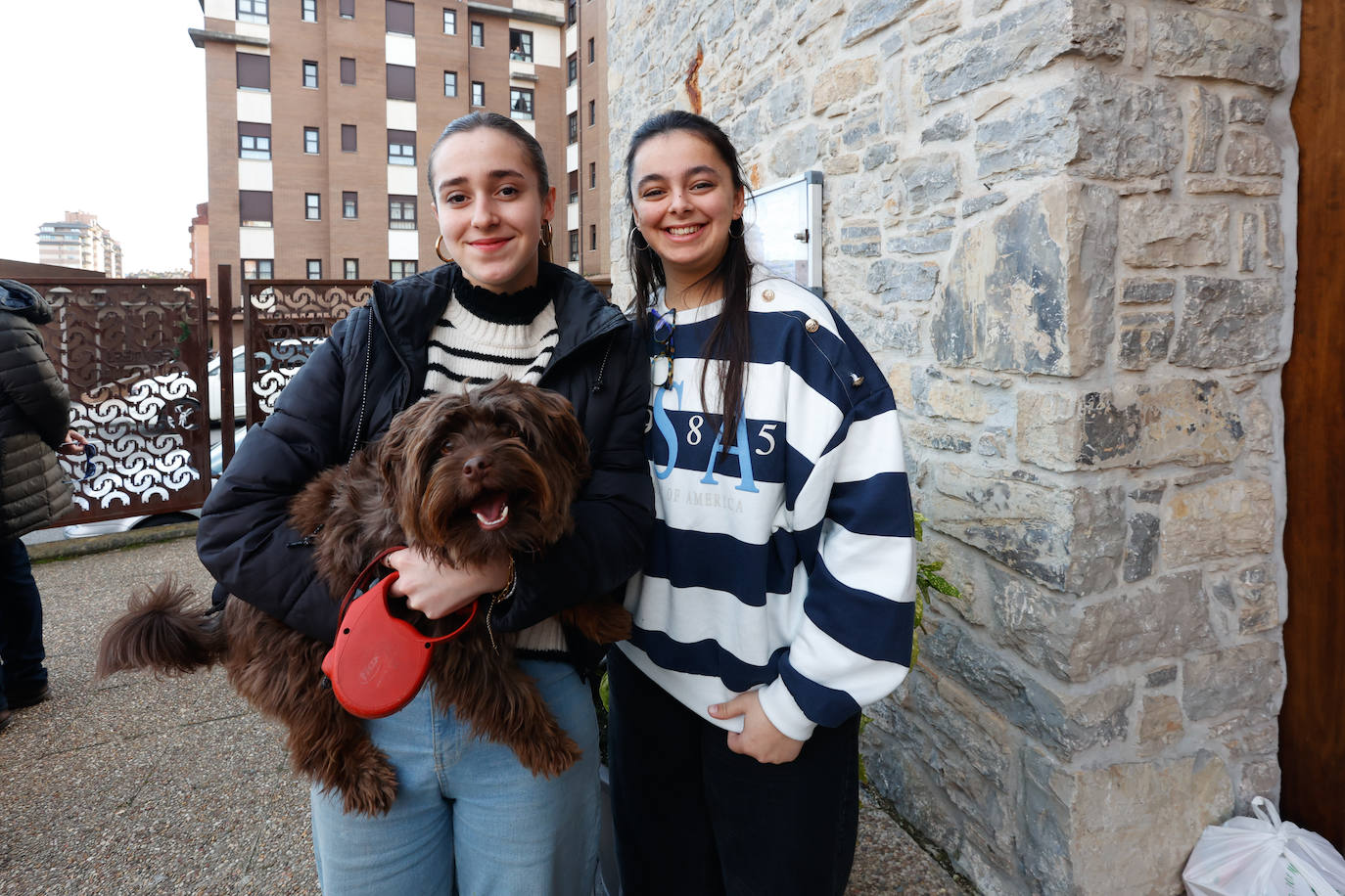 Bendición de mascotas en Gijón por San Antón