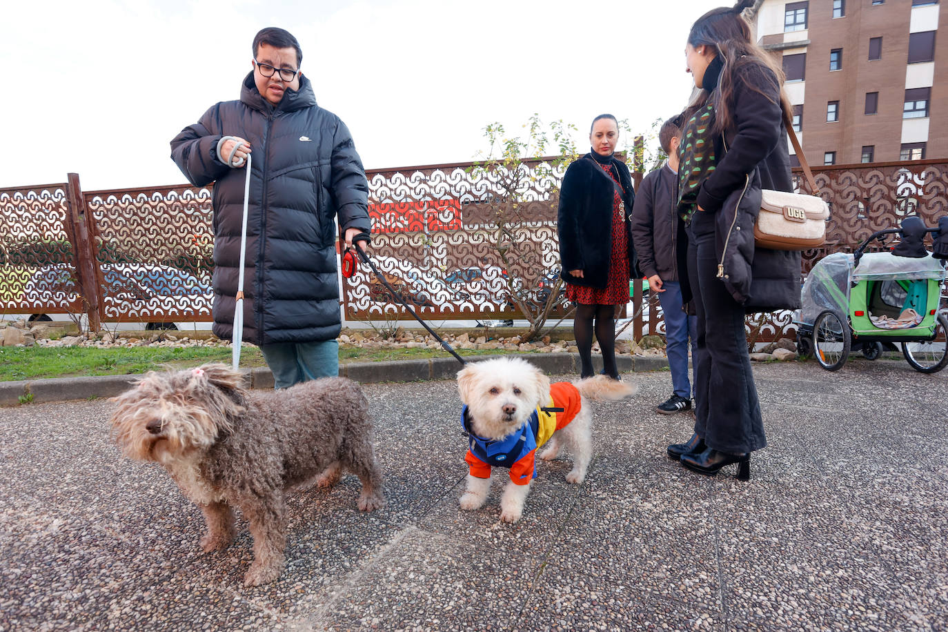 Bendición de mascotas en Gijón por San Antón